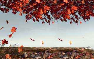 US Tariffs Jolted Global Economy; AI Spending Offsetting the Damage: What the Data Reveals About the Reversal