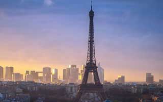 Firo: The Data Breakdown