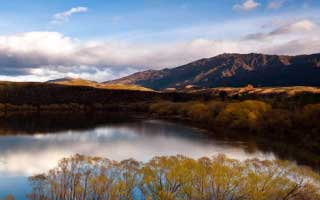 Firo: The Data Breakdown